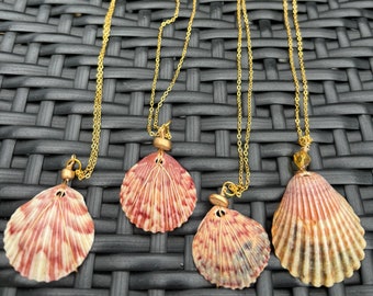 One-of-a-Kind Calico Sea Shell Wire Wrapped Necklace - 16 K gold shell necklace - Real Handmade Necklace Light Weight