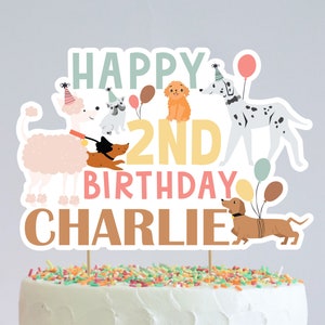 May include: A cake topper with the text "Happy 2nd Birthday Charlie" and a variety of cartoon dogs wearing party hats and holding balloons. The dogs are a poodle, a bulldog, a dachshund, a dalmatian, and a golden retriever.
