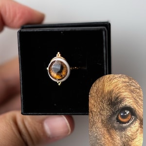 Custom Pet and Person Eye Memorial Ring | Hand-Sculpted Lover’s Eye Keepsake Jewelry