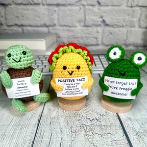 Funny Positive Pickle Gift, Desk Decor, Supportive Gifts for Coworkers, Thinking of You Gift, Teacher Appreciation Gifts