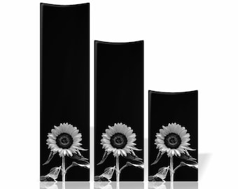 Sunflower Hairdressing Balayage Board Set: Salon Hair Color Tool