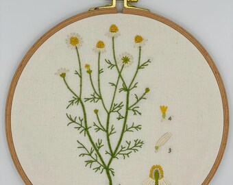Chamomile Botanical Study Hand Embroidered 9-inch Hoop Art