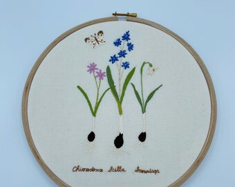 Spring Bulbs Botanical Sampler 28x28cm Chunky Wooden Hoop Art