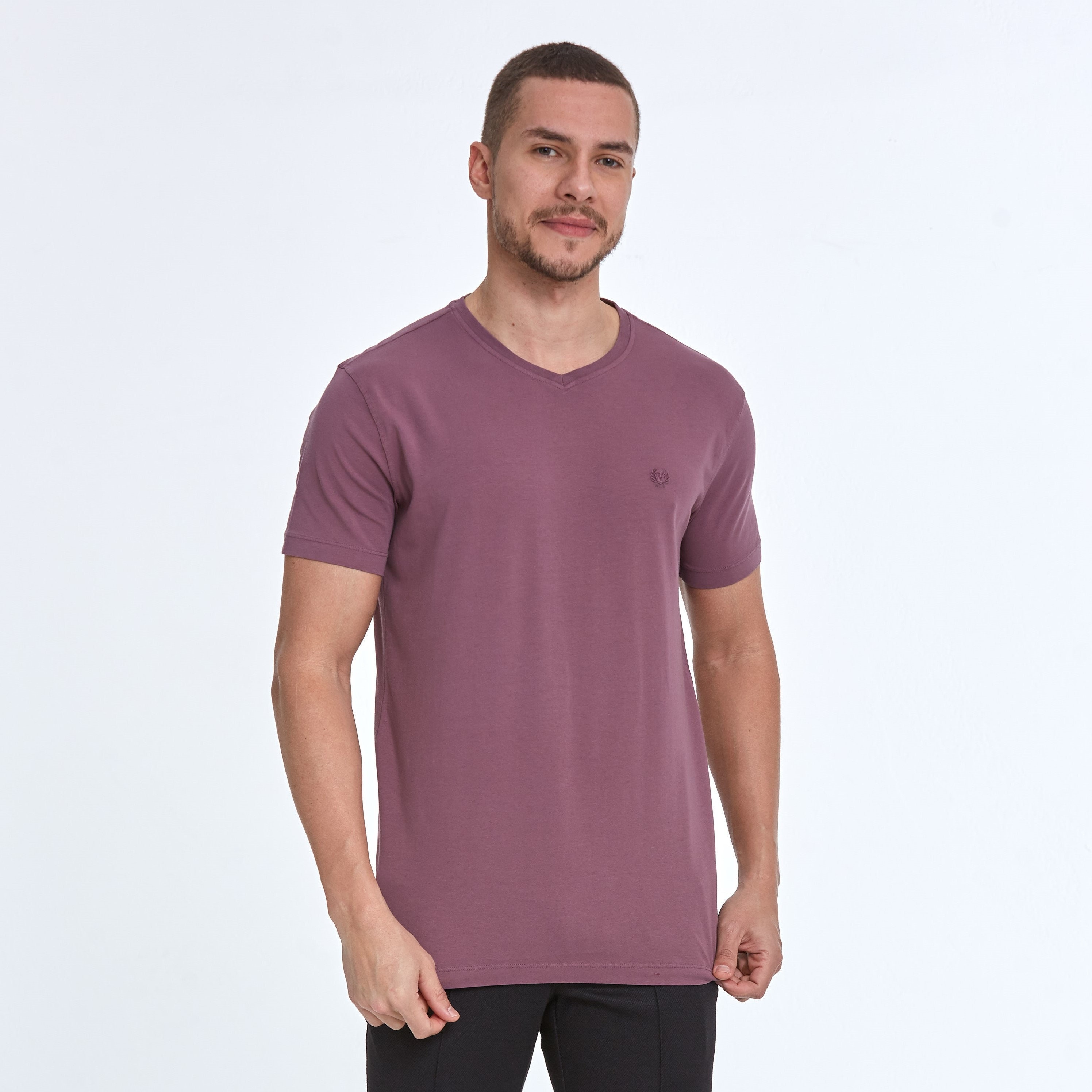 Trendy and Organic v shape collar t shirt for All Seasons