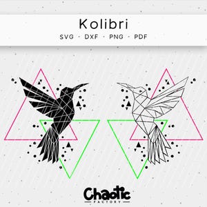 Puede incluir: Diseño digital con dos ilustraciones geométricas de colibríes. Una es negra, la otra está delineada. El diseño incluye triángulos rosas y verdes, puntos negros y el texto "Kolibri" y "Chaotic Factory."