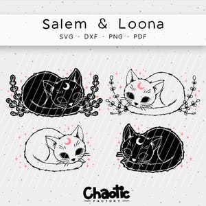 May include: Four black and white illustrations of cats sleeping with a crescent moon on their foreheads. The cats are surrounded by stylized flowers and stars. The text "Salem & Loona" and "Chaotic Factory" is included in the image.