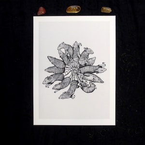 Rattenkönig | Rat King Giclée Print