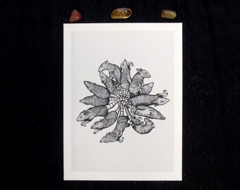 Rattenkönig | Rat King Giclée Print