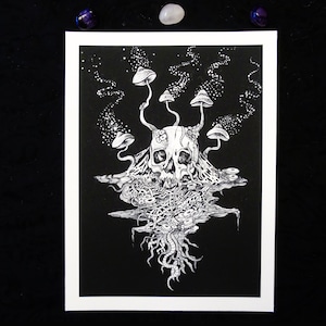 Festering | Rotting skull and mushrooms Giclée print