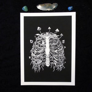 Festering II | Rotting ribcage and mushrooms Giclée print
