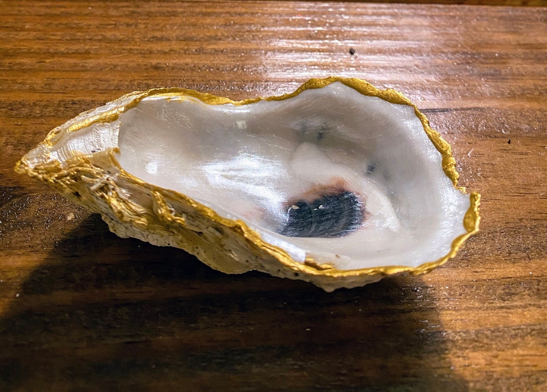 Natural Oyster Jewelry Dish With Hold Rim Etsy