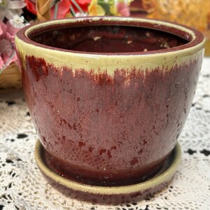 Peut inclure: Un pot en céramique de couleur terre cuite avec un bord vert clair. Le pot a un glaçage moucheté et une forme légèrement arrondie.