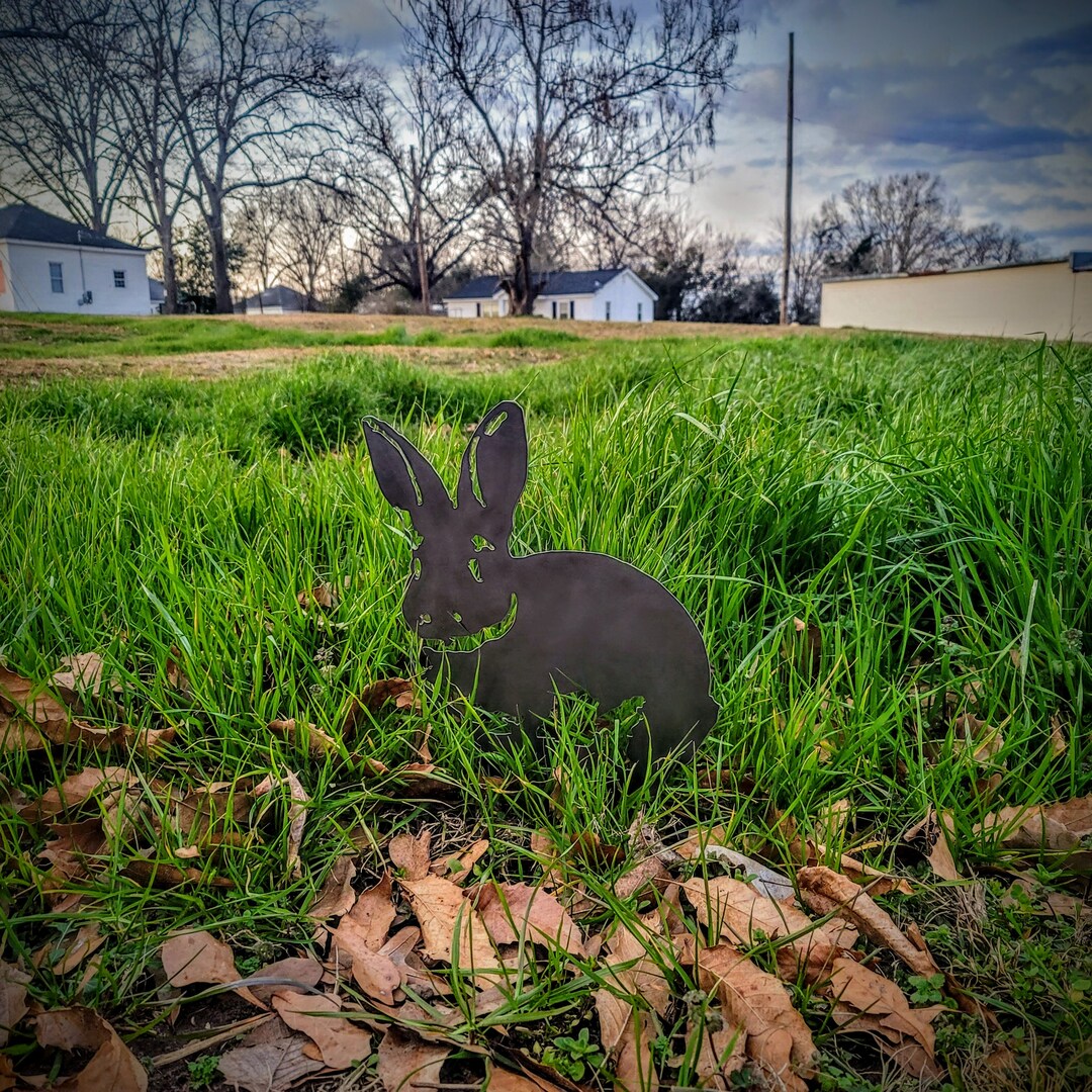 Peter Rabbit Metal Lawn Ornament - Etsy