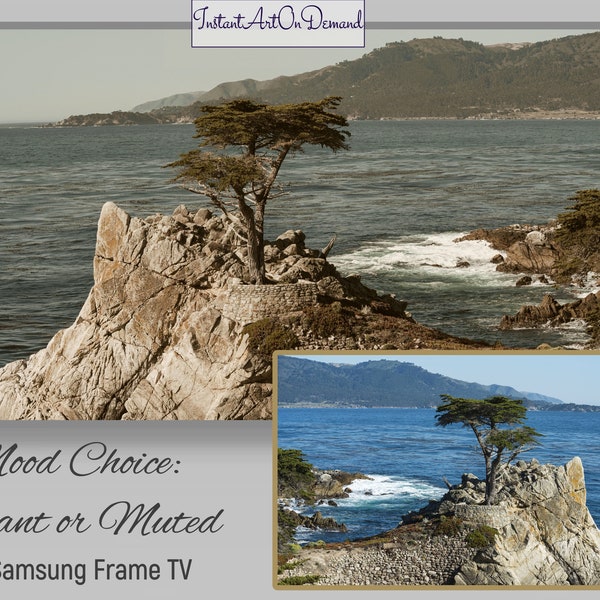 Samsung FRAME TV.  Pacific Coast Lone Cypress. Choose your Mood -vibrant or neutral | Seascape | Scenic Ocean View | Photographic art for TV