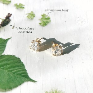 May include: Two gold-colored square stud earrings with clear, sparkling stones. The earrings are set against a white background with scattered green leaves and the text "chocolate cosmos" and "geranium leaf".