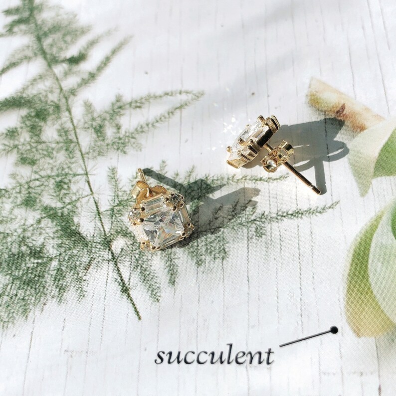 May include: A pair of gold-toned stud earrings with clear, rectangular and pear-shaped cubic zirconia stones. The earrings are set on a white surface with green foliage and the word "succulent" in black text.