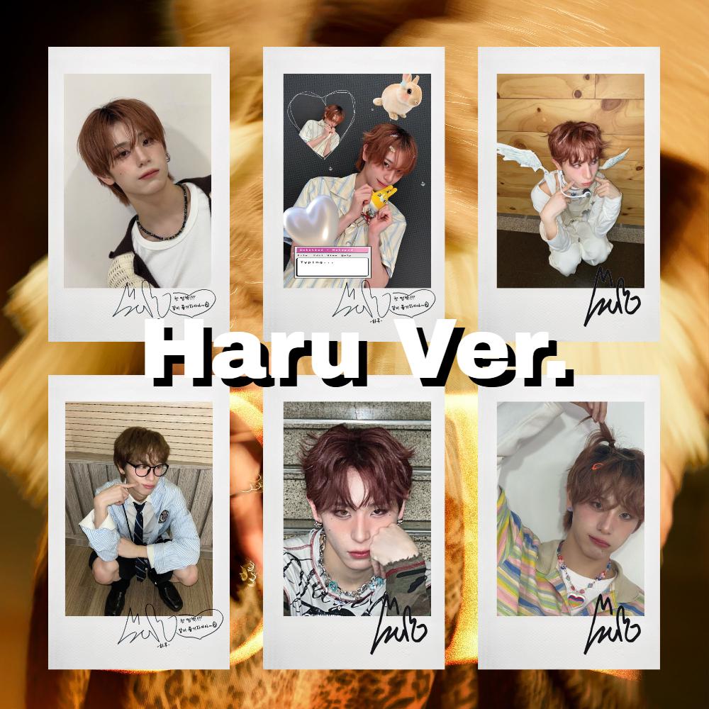 XLOV セルフィー/セルカバイアス フォトカード |ウムティ、ルイ