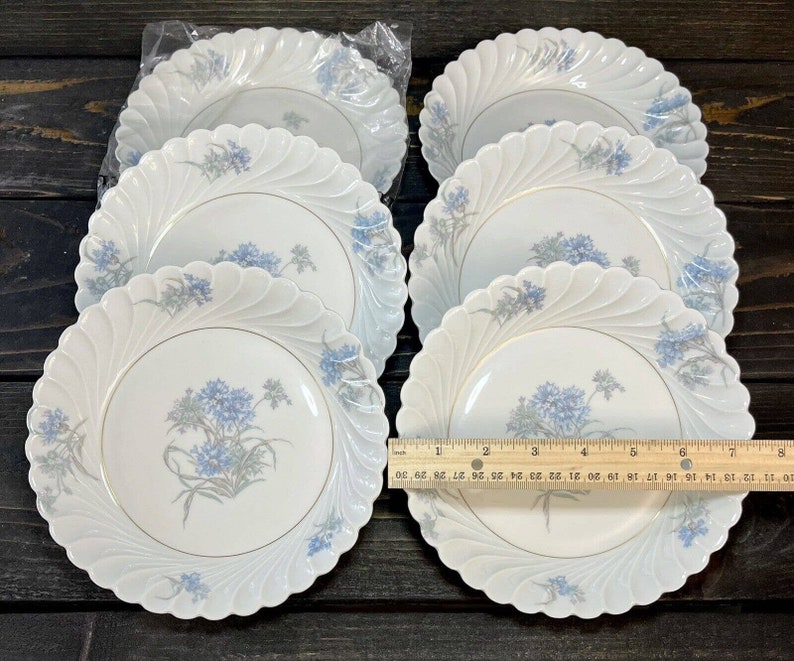 Haviland Limoges Bergere Blue Floral on White Swirl China 6 Place