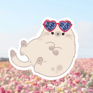 Karma résistant aux intempéries est un chat Sticker | Karma est un chat | Swift | Taylor Swift | Minuit | Vinyle | Autocollant Taylor Swift | Tswift | Visite ERA