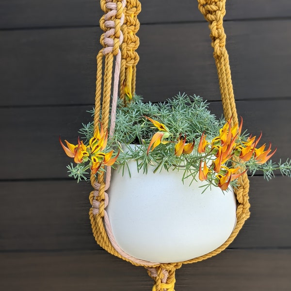 Macrame Plant Hanger