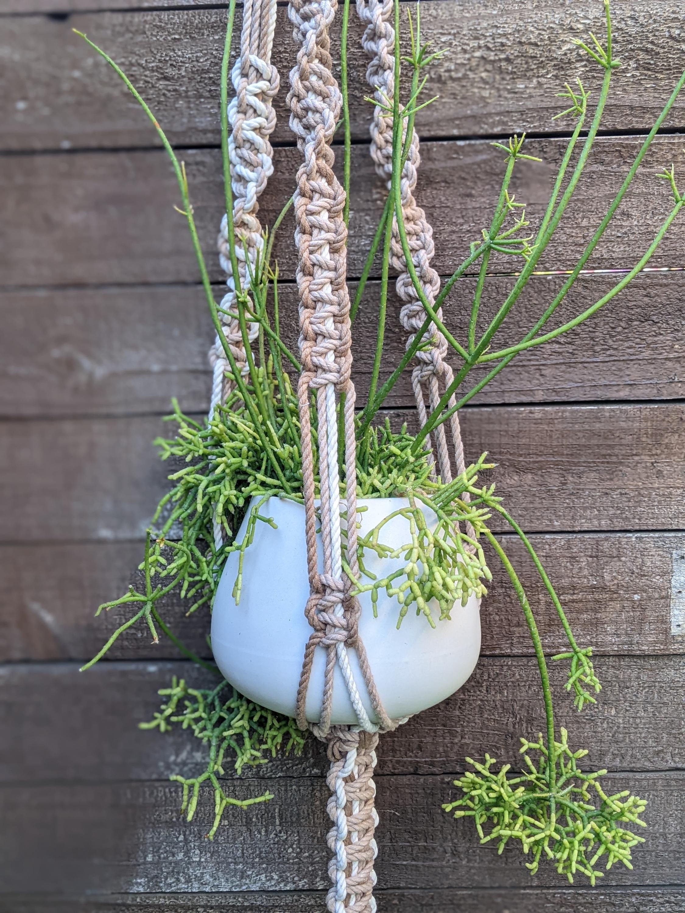 Makramee Blumenampel mit Keramik Perle