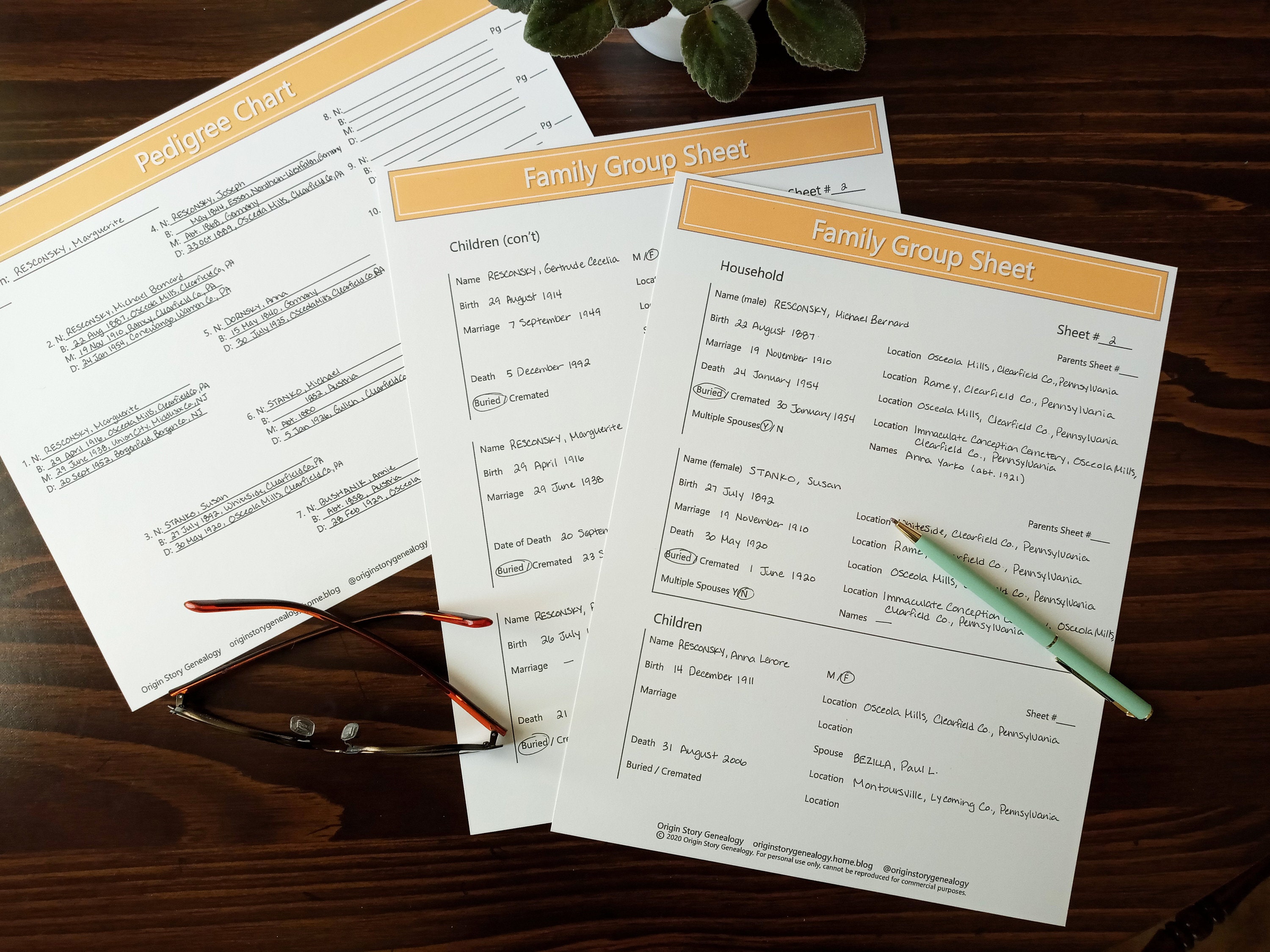 Family Group Sheet Printable PDF for Genealogy and Family History ...
