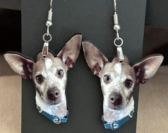 Könnte beinhalten: Ein Paar Ohrhänger mit einem realistischen Fotodruck eines braun-weißen Hundes mit großen Ohren und einem blauen Halsband. Die Anhänger in Form eines Hundekopfes sind an silberfarbenen Metallhaken befestigt, die auf einer schwarzen Karte stecken.