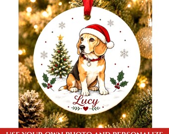 Pet Ornament, Pet with Santa Ornament, Personalized Pet Memorial , Dog Ornament, Cat Ornament, Personalized Christmas, Christmas Ornament