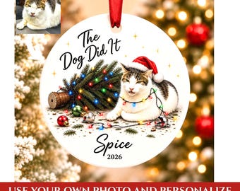 Funny Cat Ornament, Funny Dog Ornament, Personalized Pet Ornament, Dog Ornament, Cat Ornament, Personalized Christmas, Christmas Ornament
