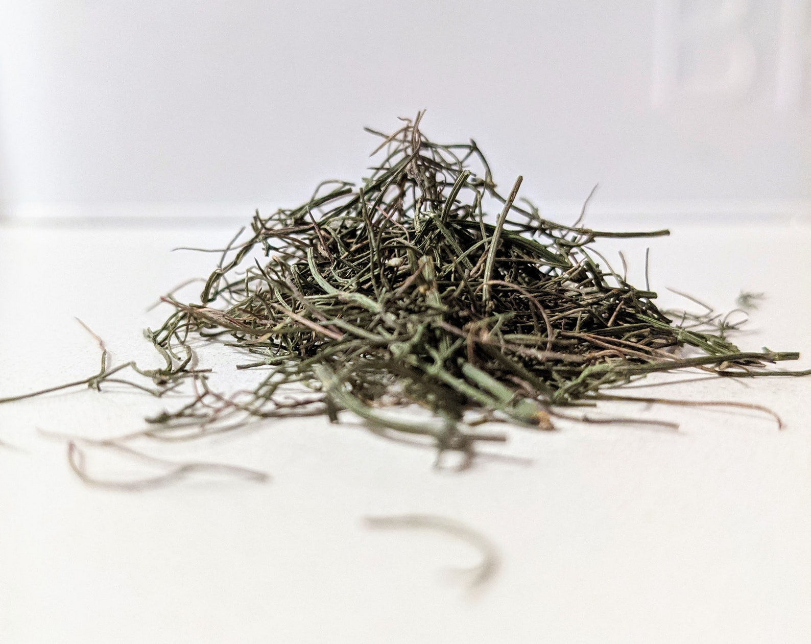 Dried Fennel Leaves & Seeds Etsy Canada