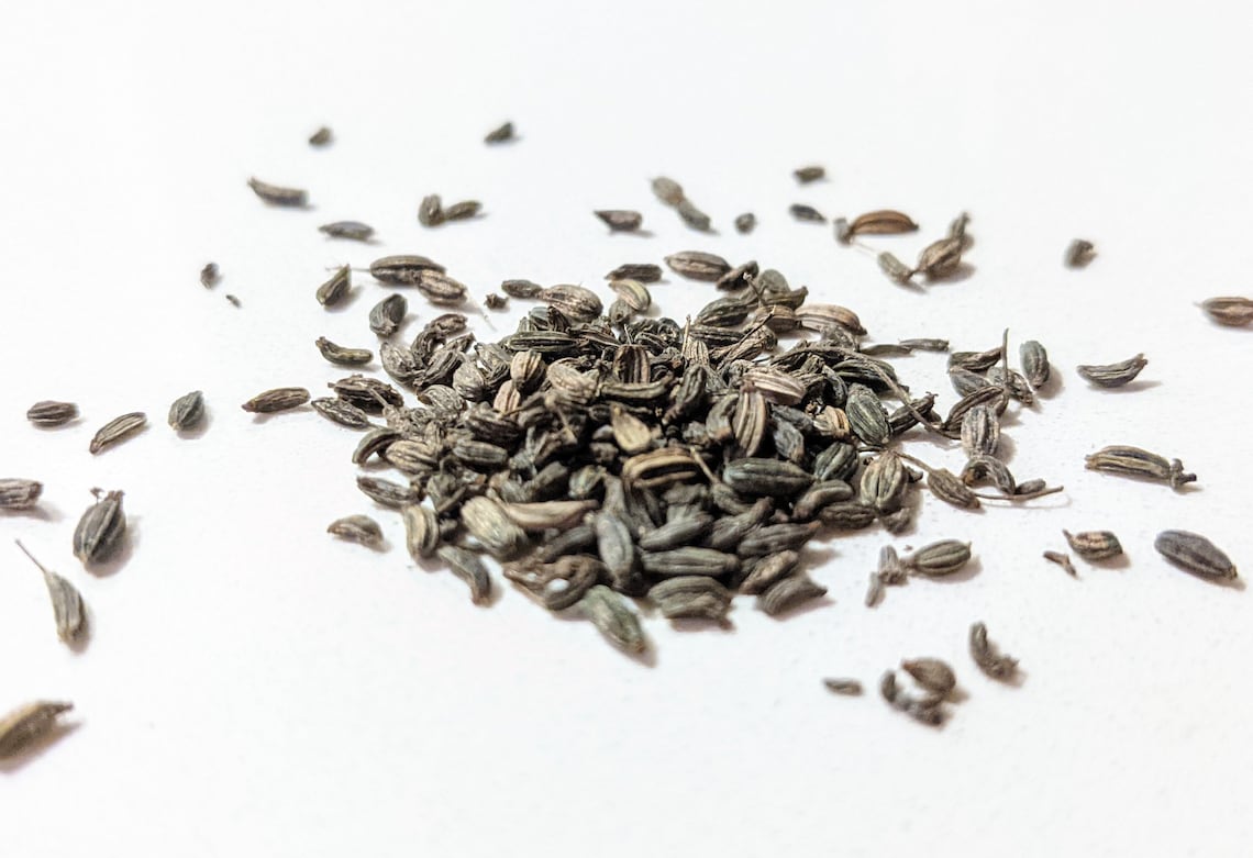 Dried fennel leaves & seeds Etsy