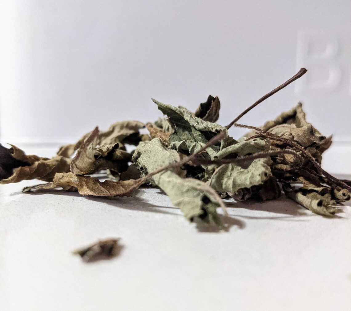Dried oregano leaves Etsy