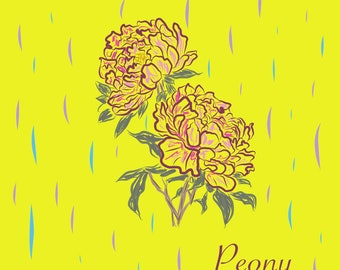Peony