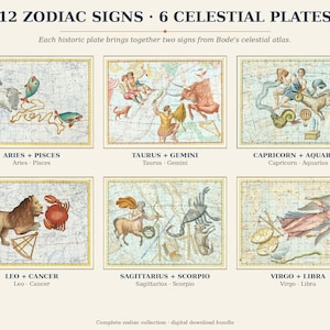 Può includere: Una collezione di 12 segni zodiacali su 6 tavole celesti con illustrazioni tratte dall'atlante celeste di Bode. Le tavole raffigurano Ariete e Pesci, Toro e Gemelli, Capricorno e Acquario, Leone e Cancro, Sagittario e Scorpione, Vergine e Bilancia.