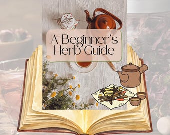 Grundläggande örtguide för nybörjare
