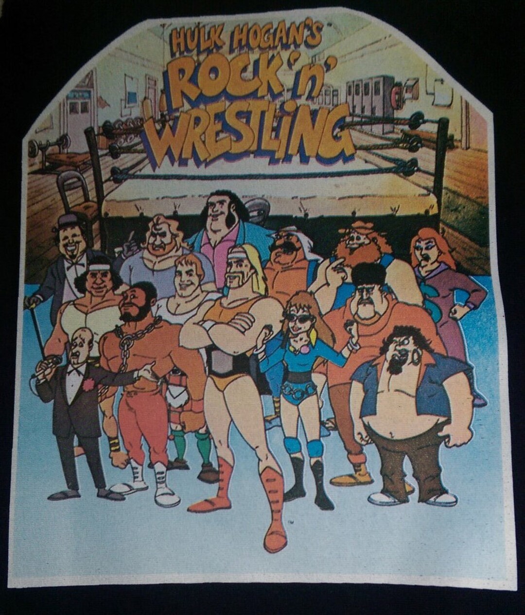 Hulk Hogan's Rock N Wrestling Heat Transfer Snuka, Albano, Andre the Giant , Mean Gene, Roddy