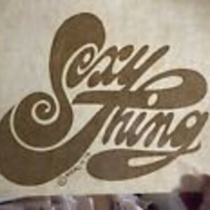 Vintage &quot;YOU SEXY THING&quot; Roach 1976 Glitter Iron On Transfer Color Original