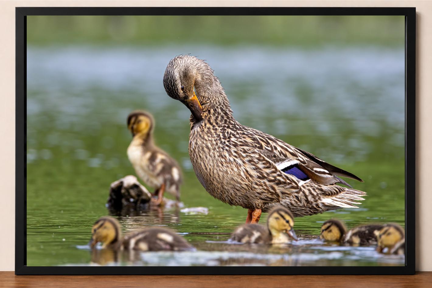 Duckling Photo Frame - Etsy