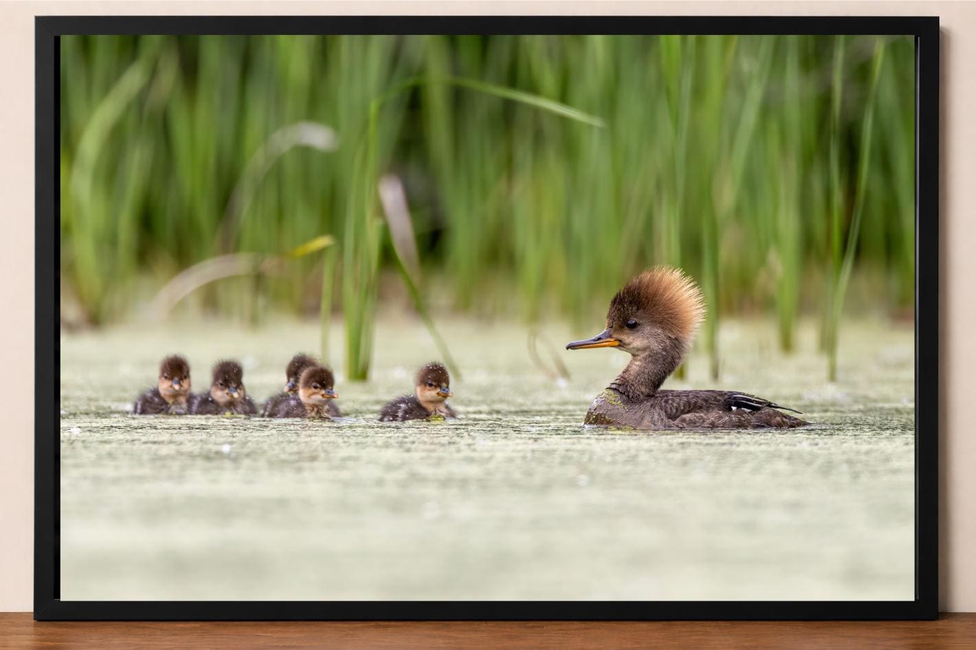 Duckling Photo Frame - Etsy