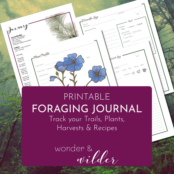 What to Harvest When - Foraging Journal EXPANDED VERSION herbal medicine foraging guide