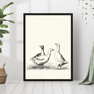 Vintage Gänse Bleistift Skizze Print Line Art Gänse Enten Zeichnung Leinwand Poster gerahmt Wandkunst Bauernhaus Französisches Land Wohnkultur Cottagecore