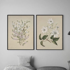 Rustikale Kräuter Drucke 2er Set Vintage Botanische Neutrale Französische Französische Landhauszimmer Dekor Pflanzen Galerie Wand Kunst Leinwand Rahmen Gedruckt Küche Poster