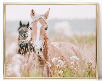 Op de afbeelding: Een lichtbruin paard met een witte streep over zijn gezicht staat in een veld met hoog gras en wilde bloemen. Het paard kijkt recht in de camera.