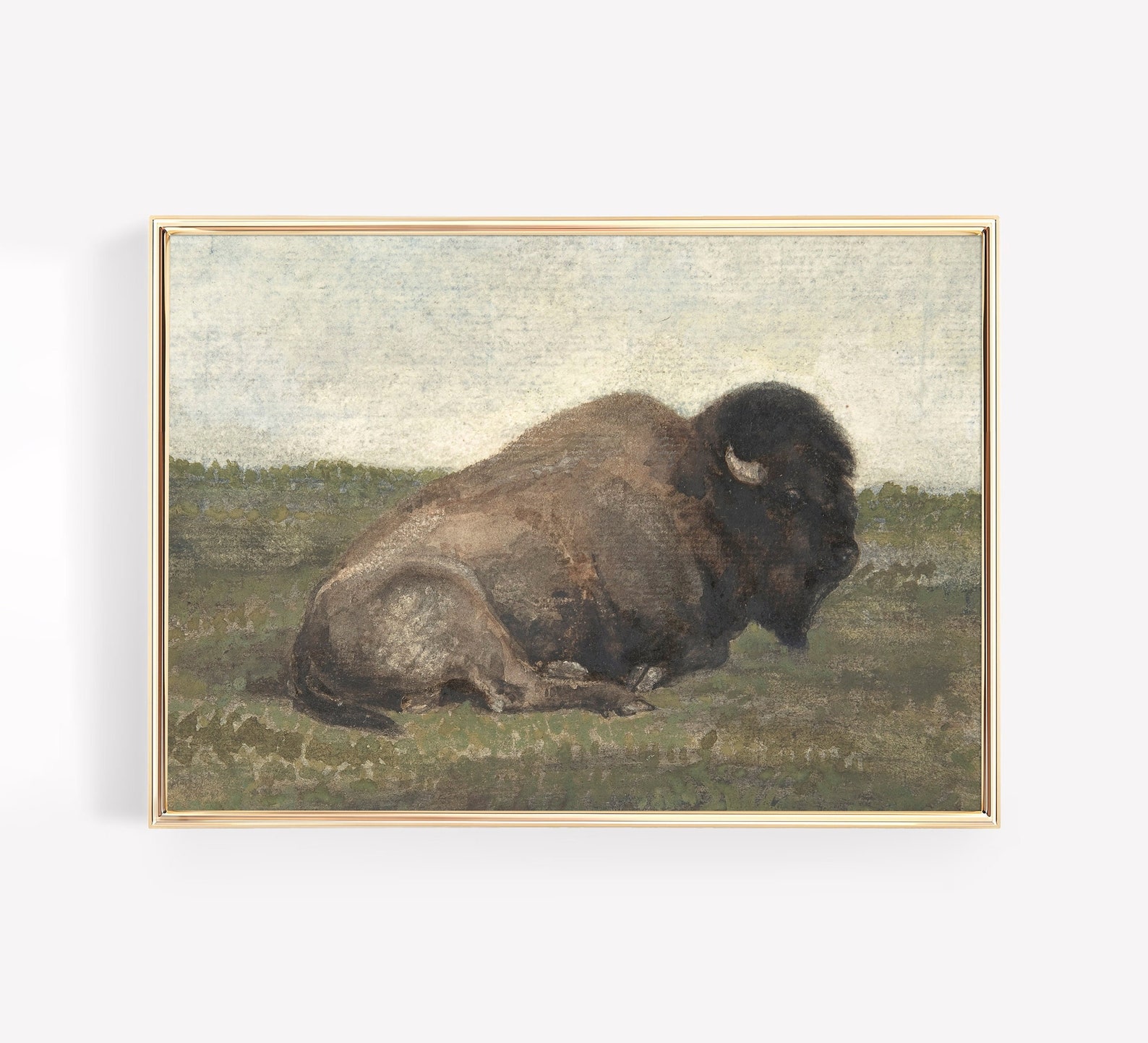 Vintage Bison Painting Antique Buffalo Animal Retro Print Canvas Poster ...