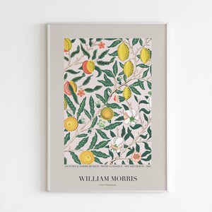 May include: A framed poster featuring a vintage floral pattern with a pink background, green leaves, yellow lemons, and red flowers. The poster is titled "William Morris" and includes the text "VICTORIA & ALBERT MUSEUM, WITH ACKNOWLEDGEMENT, ART AND CRAFTS, 1883".