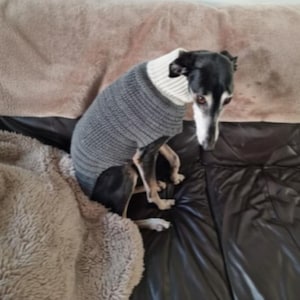Lurcher/Whippet pdf crochet jumper pattern 24 inch