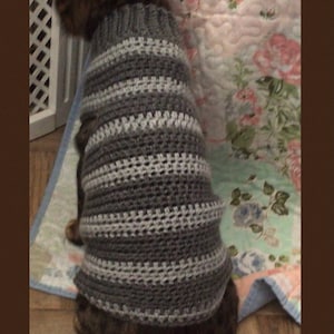 May include: A gray and white striped crocheted dog sweater.