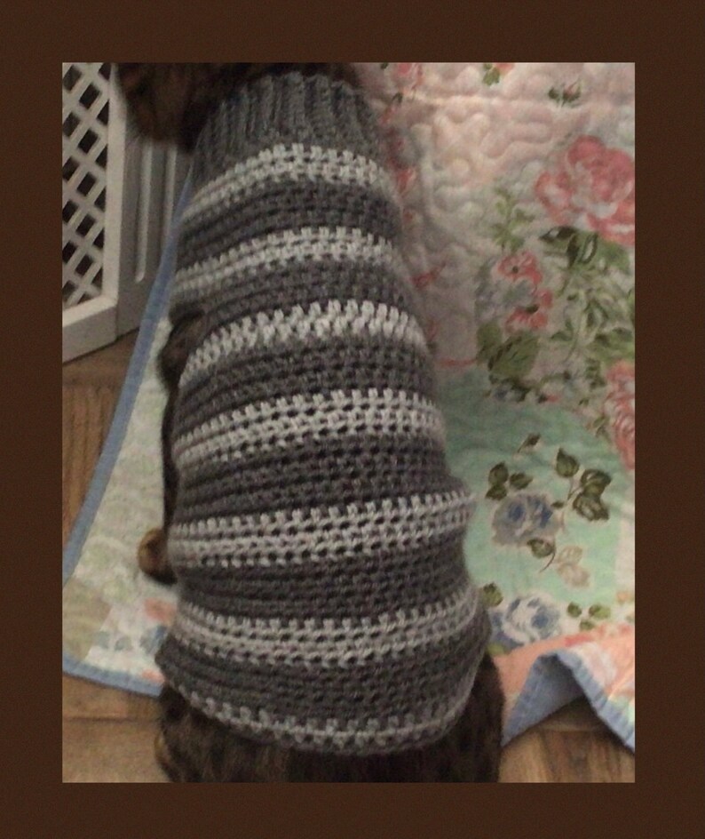 May include: A gray and white striped crocheted dog sweater.