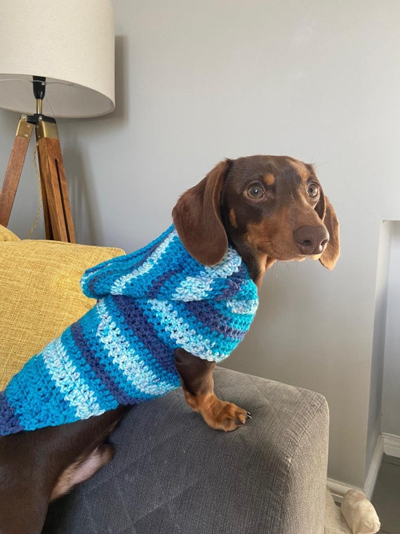 Crochet pattern top for dachshund sweater