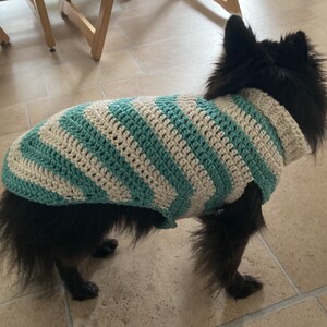May include: A black dog wearing a teal and white striped crocheted sweater.